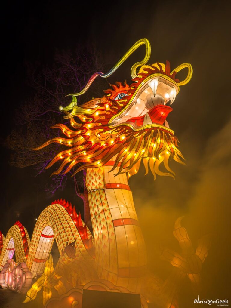 Dragon chinois Jiao Long des Lumières Légendaires de Chine au Mans