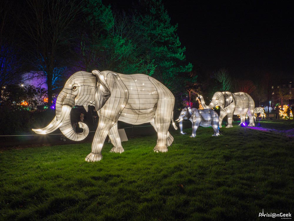 Élephants des Lumières Légendaires de Chine au Mans