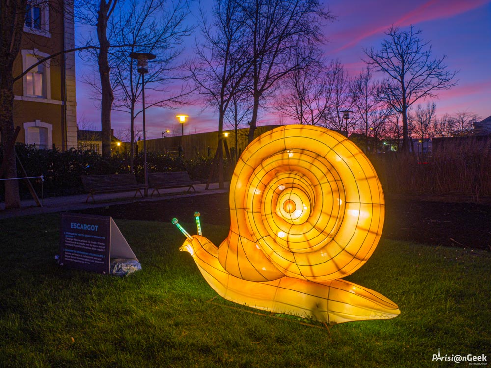 Escargot des Lumières Légendaires de Chine au Mans