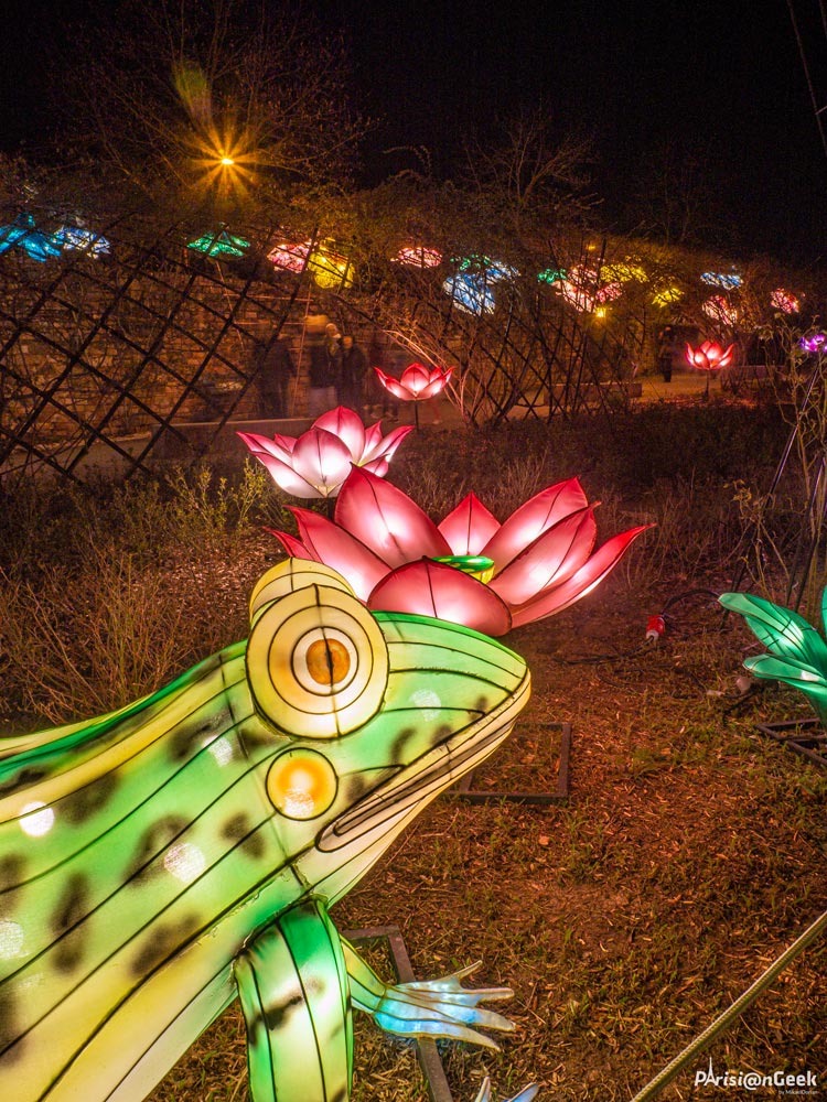 Grenouille des Lumières Légendaires de Chine au Mans