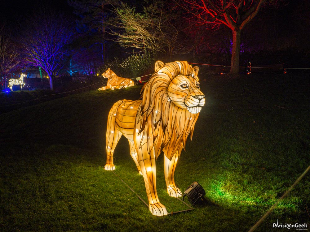 Lion des Lumières Légendaires de Chine au Mans