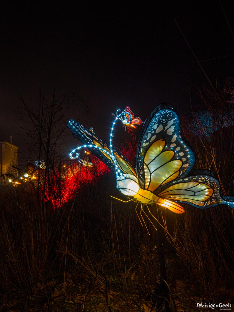 Papillons des Lumières Légendaires de Chine au Mans