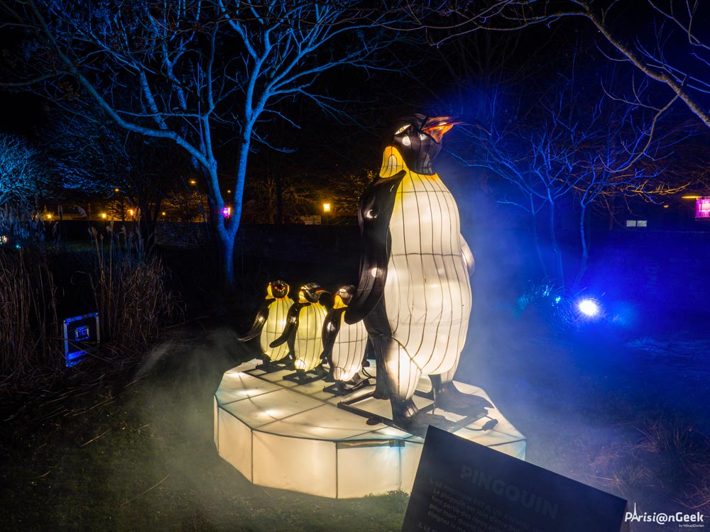 Pingouins des Lumières Légendaires de Chine au Mans