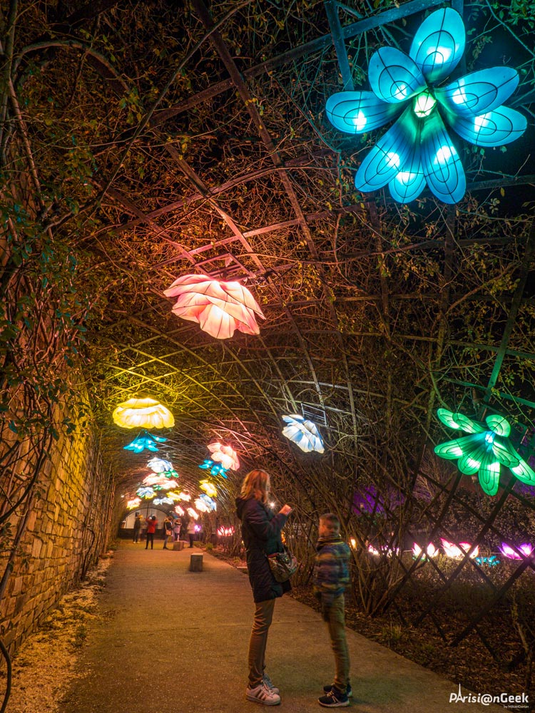 Promenade fleurie des Lumières Légendaires de Chine au Mans