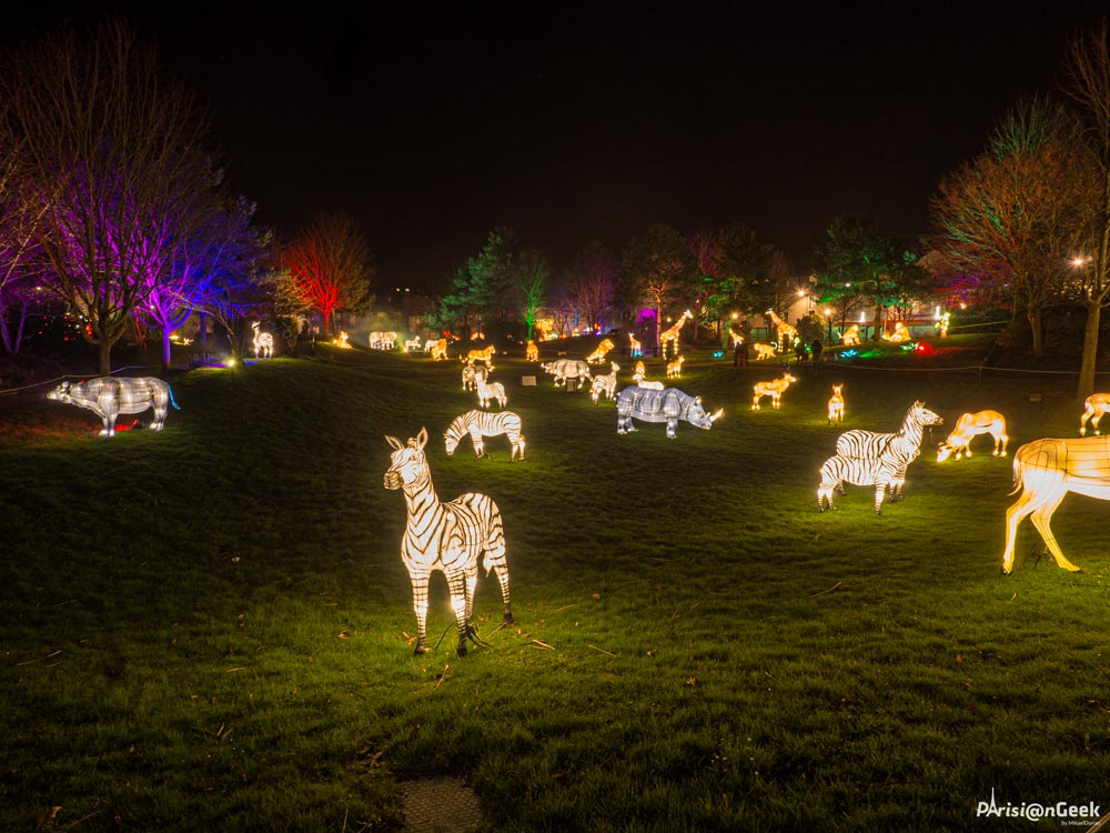 Savane des Lumières Légendaires de Chine au Mans