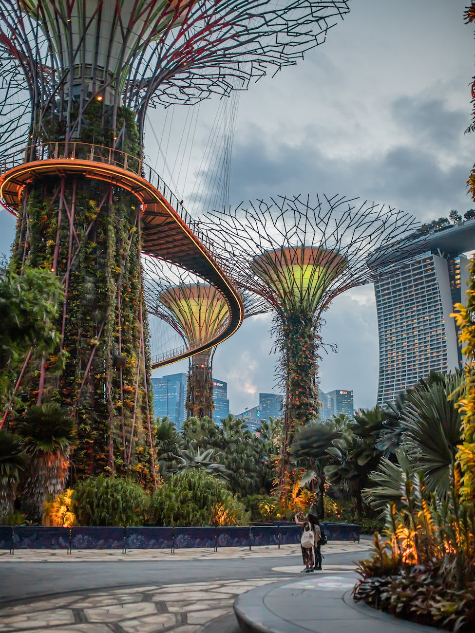 Gardens by the Bay à Singapour : un écrin de verdure futuriste et spectaculaire, où se mêlent biodiversité et architecture innovante.